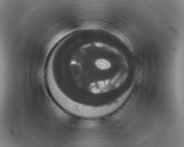 X0000113851086200910081640