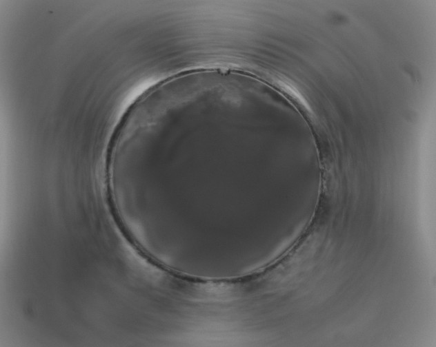 X0000113851087200910081640