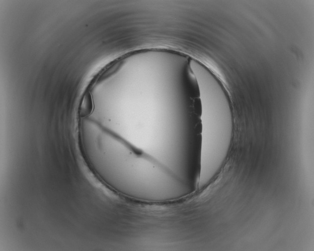 X0000113851088200910081640