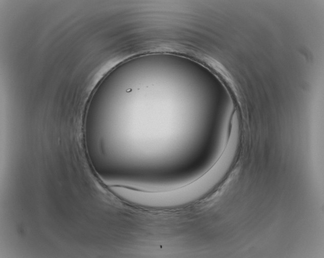 X0000113851089200910081640