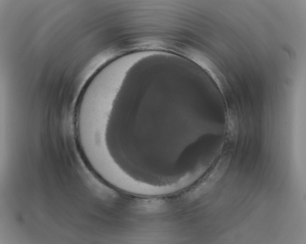 X0000113851090200910081640