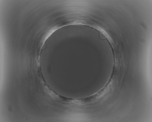 X0000113851097200910081640