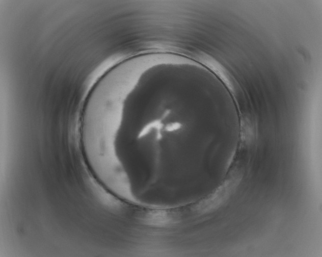 X0000113851098200910081640