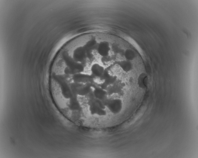 X0000113851099200910081640