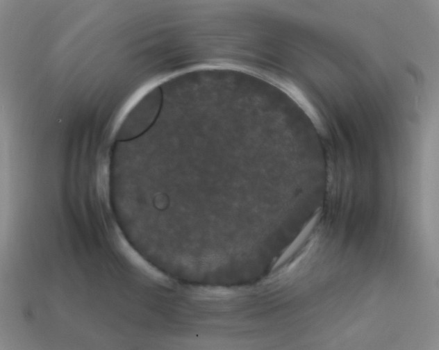 X0000113851100200910081640