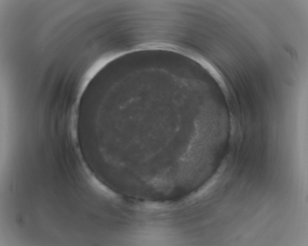 X0000113851102200910081640