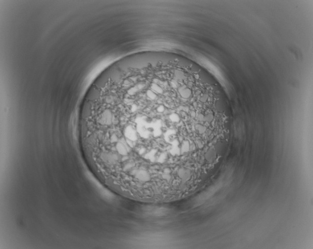 X0000113851103200910081640