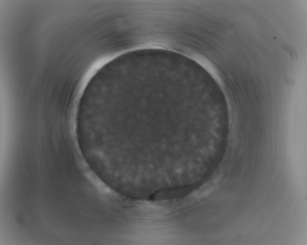 X0000113851104200910081640