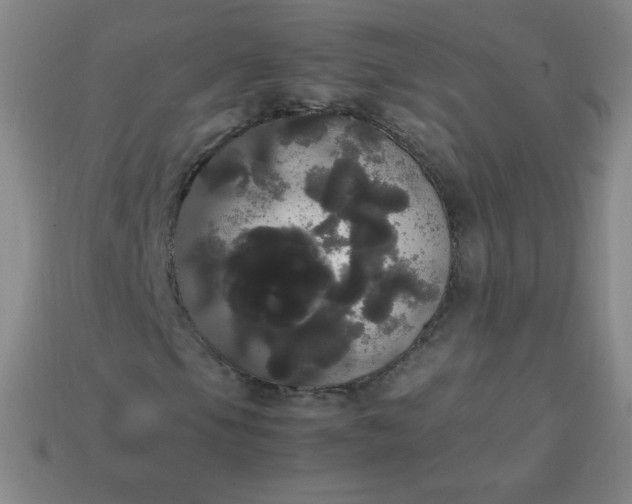 X0000113851105200910081640