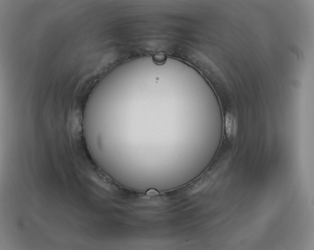 X0000113851107200910081640