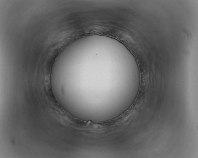 X0000113851109200910081640