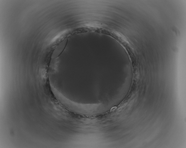 X0000113851110200910081640