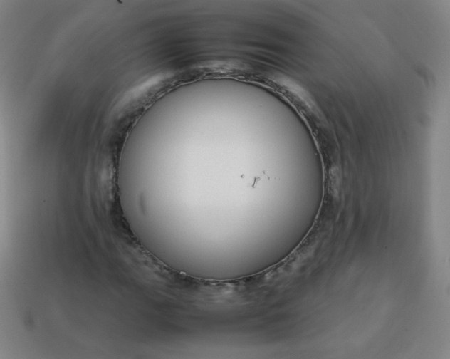 X0000113851111200910081640