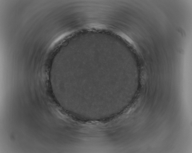 X0000113851112200910081640