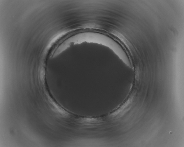 X0000113851115200910081640