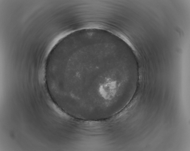 X0000113851116200910081640