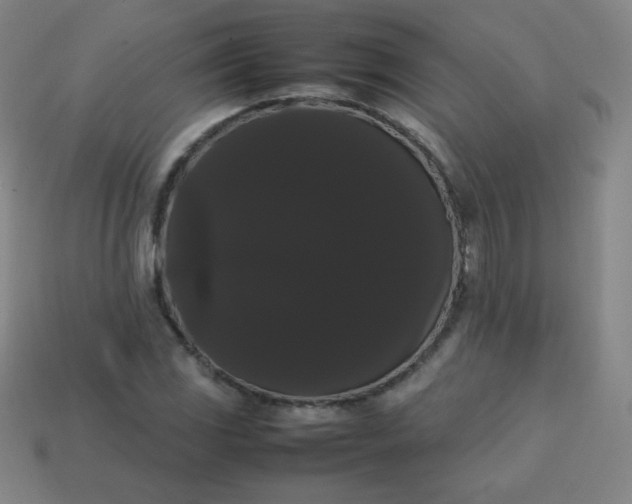 X0000113851117200910081640