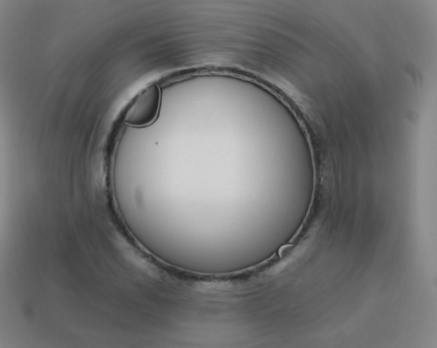 X0000113851118200910081640