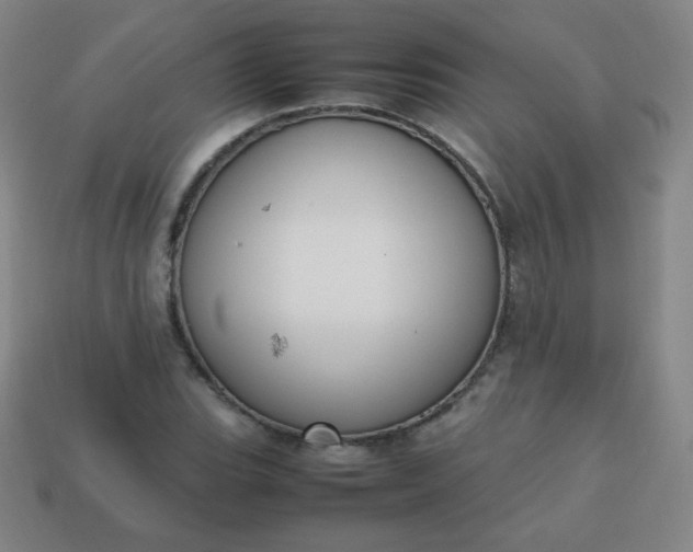 X0000113851119200910081640