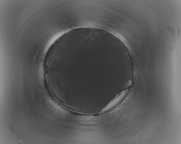 X0000113851120200910081640