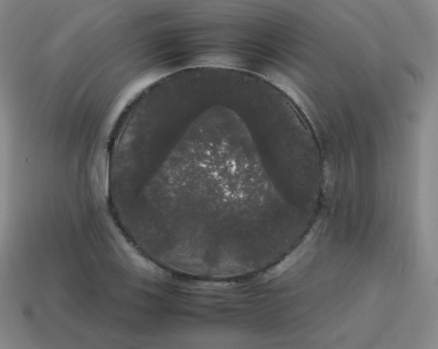 X0000113851123200910081640