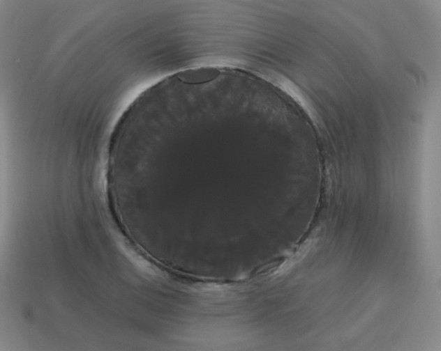 X0000113851124200910081640