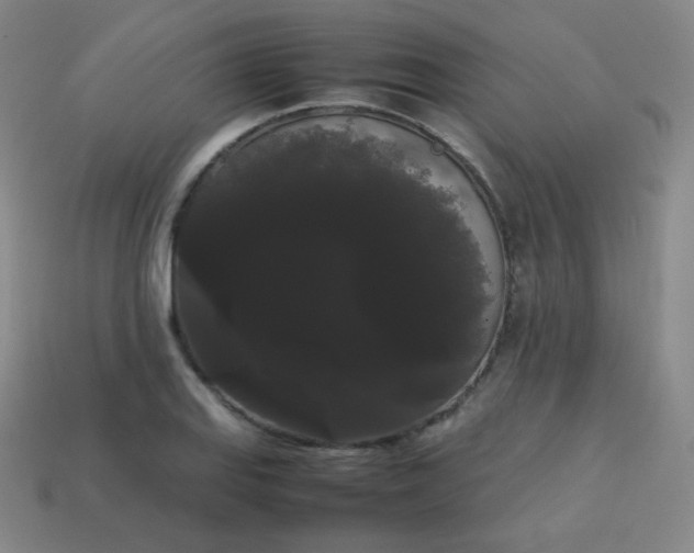 X0000113851127200910081640