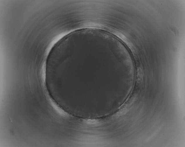 X0000113851128200910081640