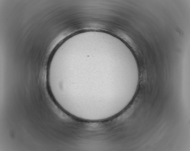 X0000113851130200910081640