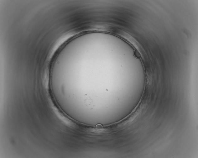 X0000113851131200910081640