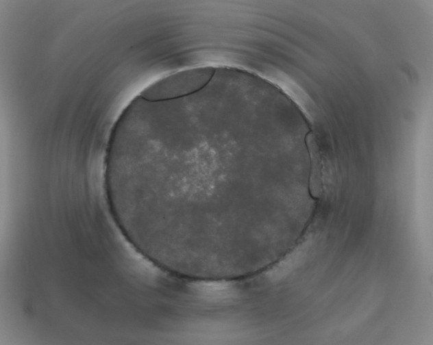 X0000113851134200910081640