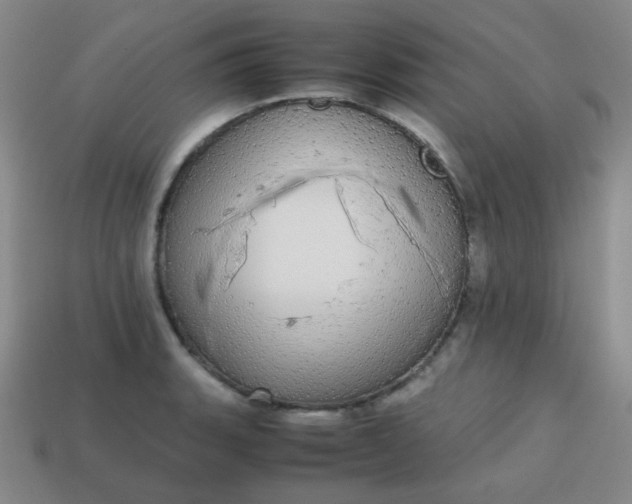 X0000113851135200910081640