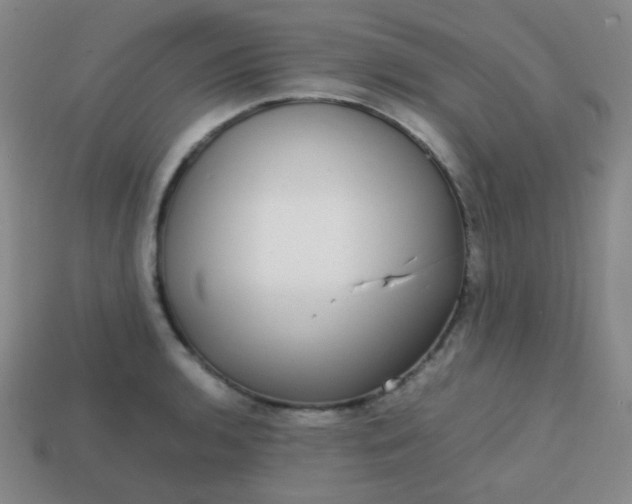 X0000113851136200910081640