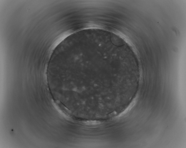 X0000113851137200910081640