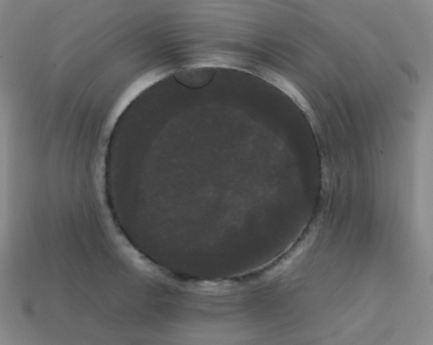 X0000113851138200910081640