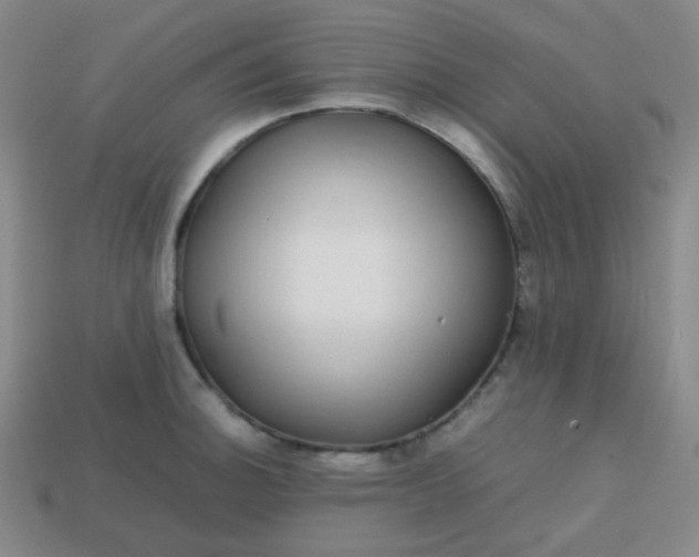 X0000113851140200910081640