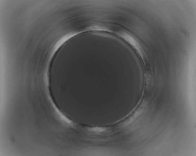 X0000113851141200910081640