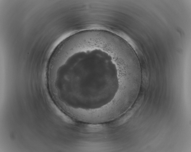 X0000113851142200910081640