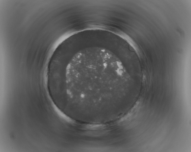 X0000113851143200910081640