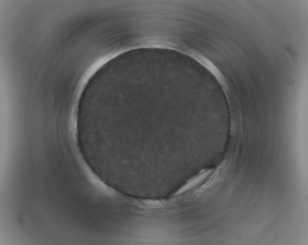 X0000113851144200910081640