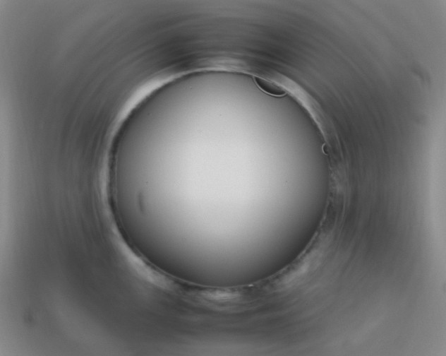 X0000113851147200910081640