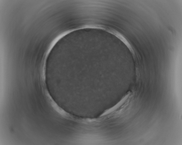 X0000113851148200910081640