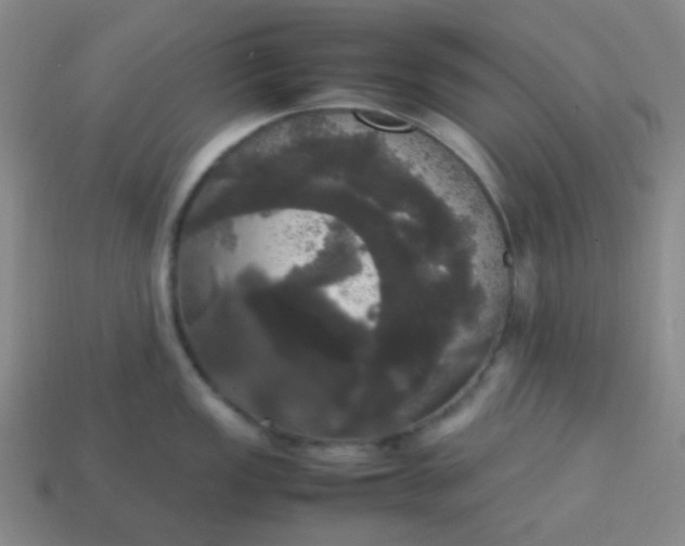 X0000113851149200910081640