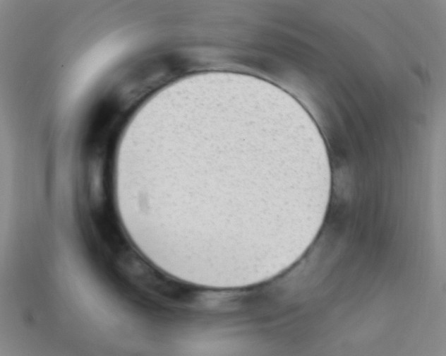 X0000113851150200910081640