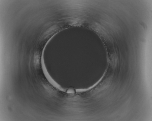 X0000113851154200910081640