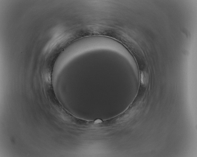 X0000113851155200910081640