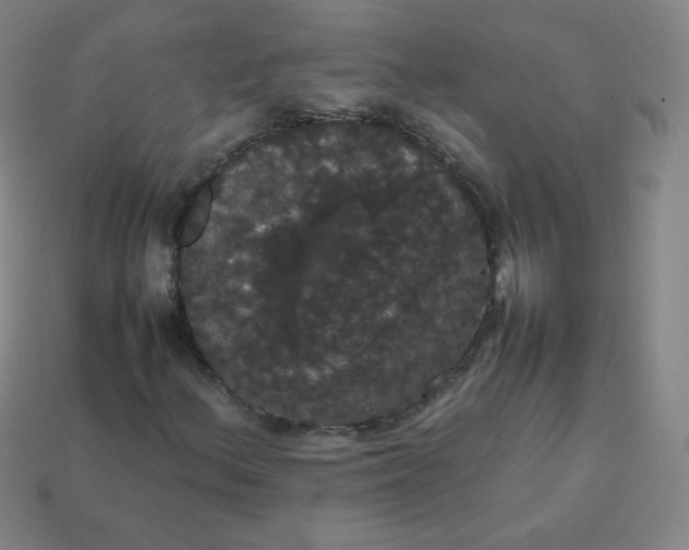 X0000113851156200910081640