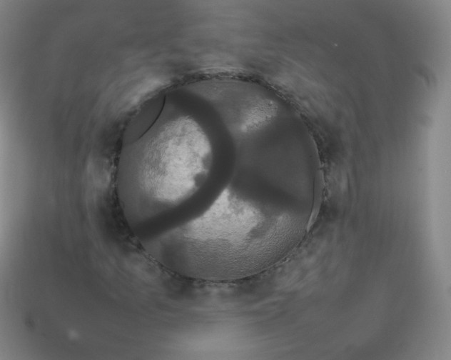 X0000113851157200910081640