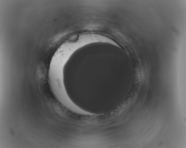 X0000113851158200910081640