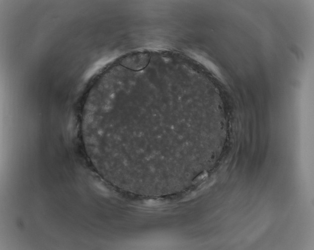 X0000113851160200910081640